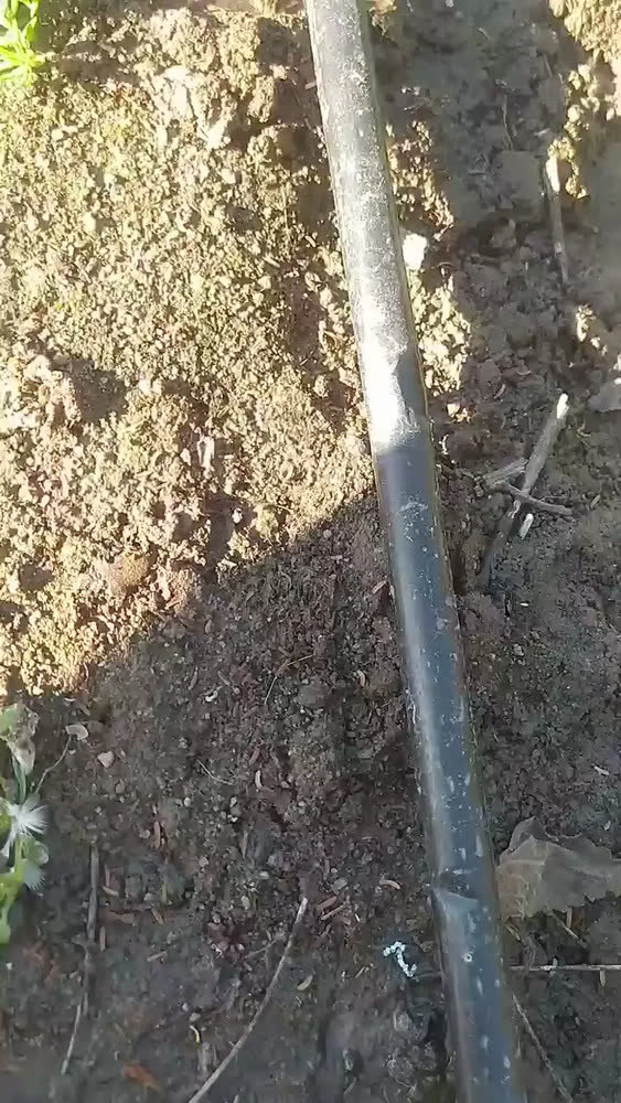 foto de Mangueira Irrigação Gotejamento 200m + Pronta Cor Preto