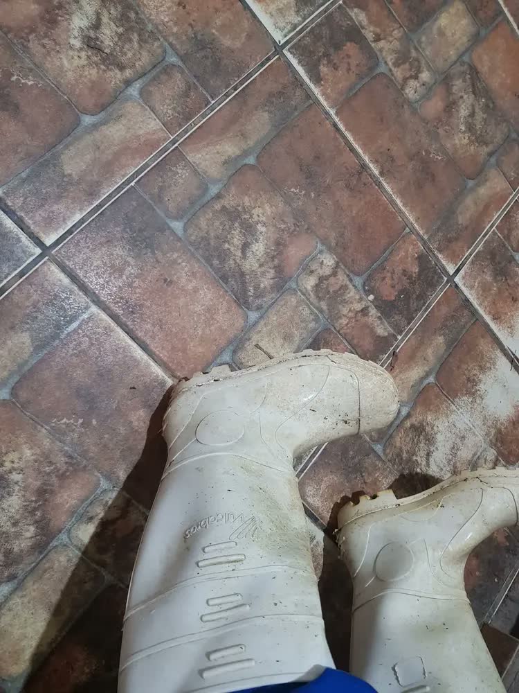 foto de Bota Pvc Branca Cano Longo - Vulcabrás