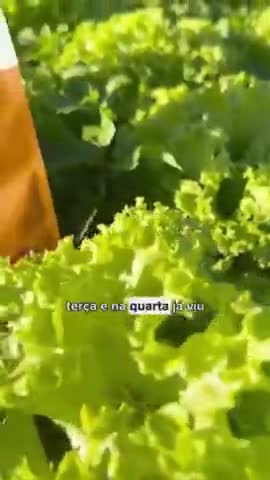 vídeo do produto