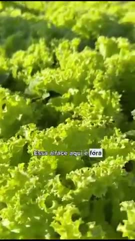 vídeo do produto