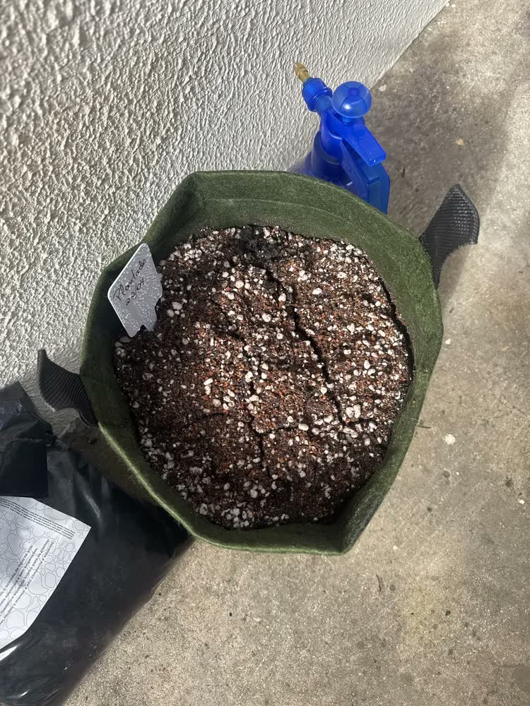 foto de Adubo Fertilizante Húmus De Minhoca Puro Orgânico Planta 2kg