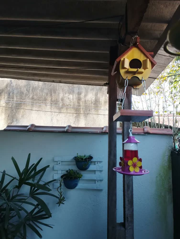 foto de Casa De Passarinho Comedouro Tratador Pássaros Livres Eco Cor Betume Egípcio