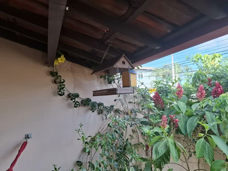 foto de Casa De Passarinho Comedouro Tratador Pássaros Livres Eco Cor Betume Egípcio