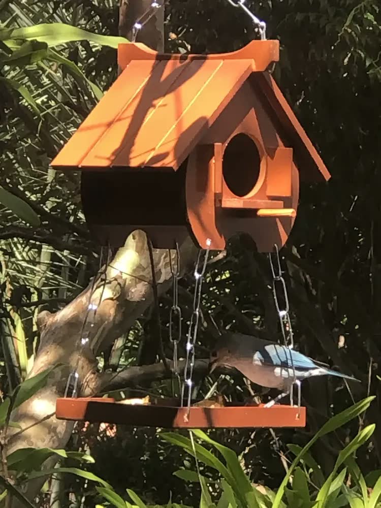 foto de Comedouro Tratador Para Pássaros Livres Ecológico Mogno Mdf. Cor Azul