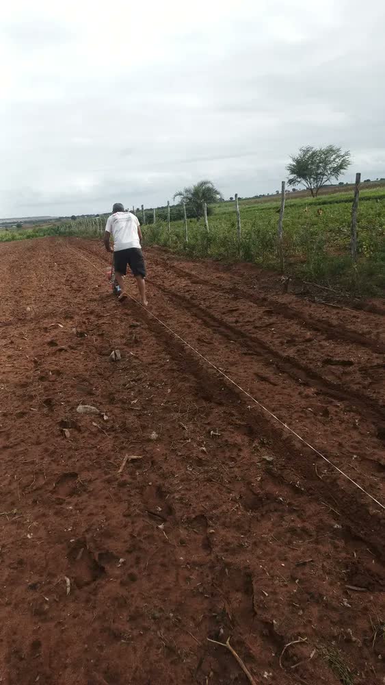 foto de Plantadeira Adubadeira Manual Empurrar 14 Bicos Diversas Sementes Epam14 Evald