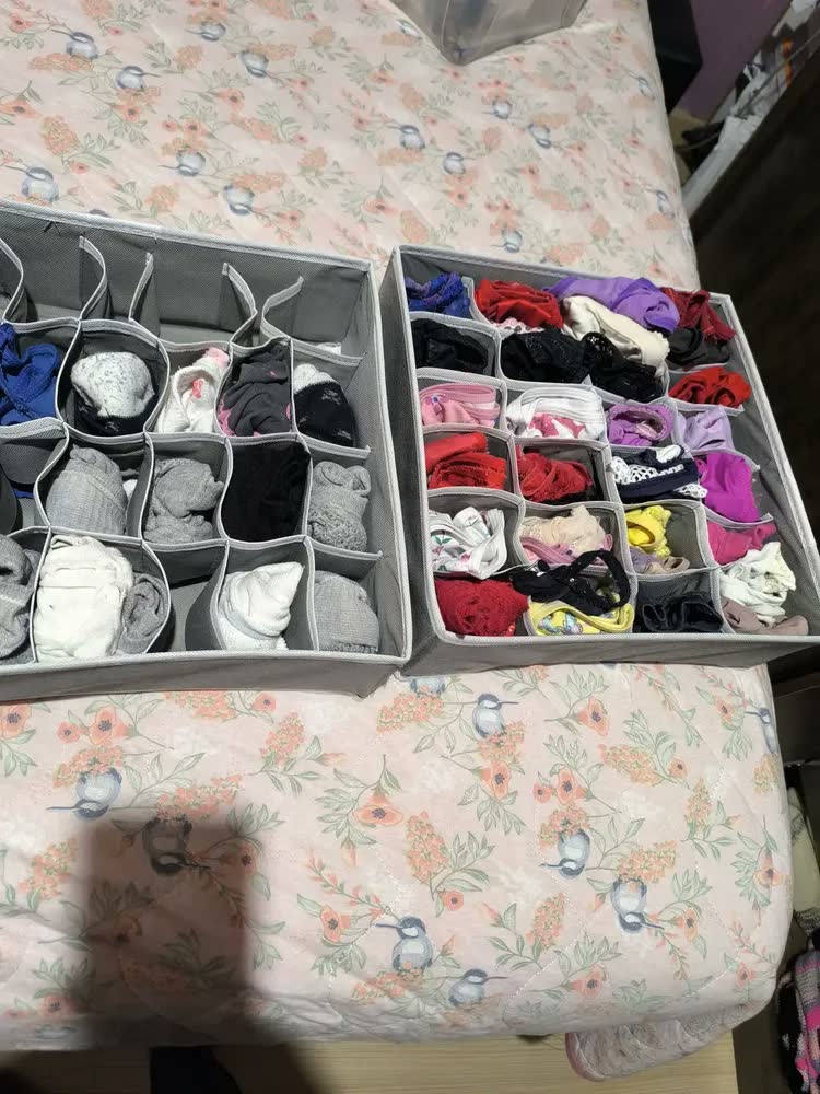 foto de Kit 2 Colmeia Organizadora ZipHome 24 Divisórias Roupas Intimas Gaveta