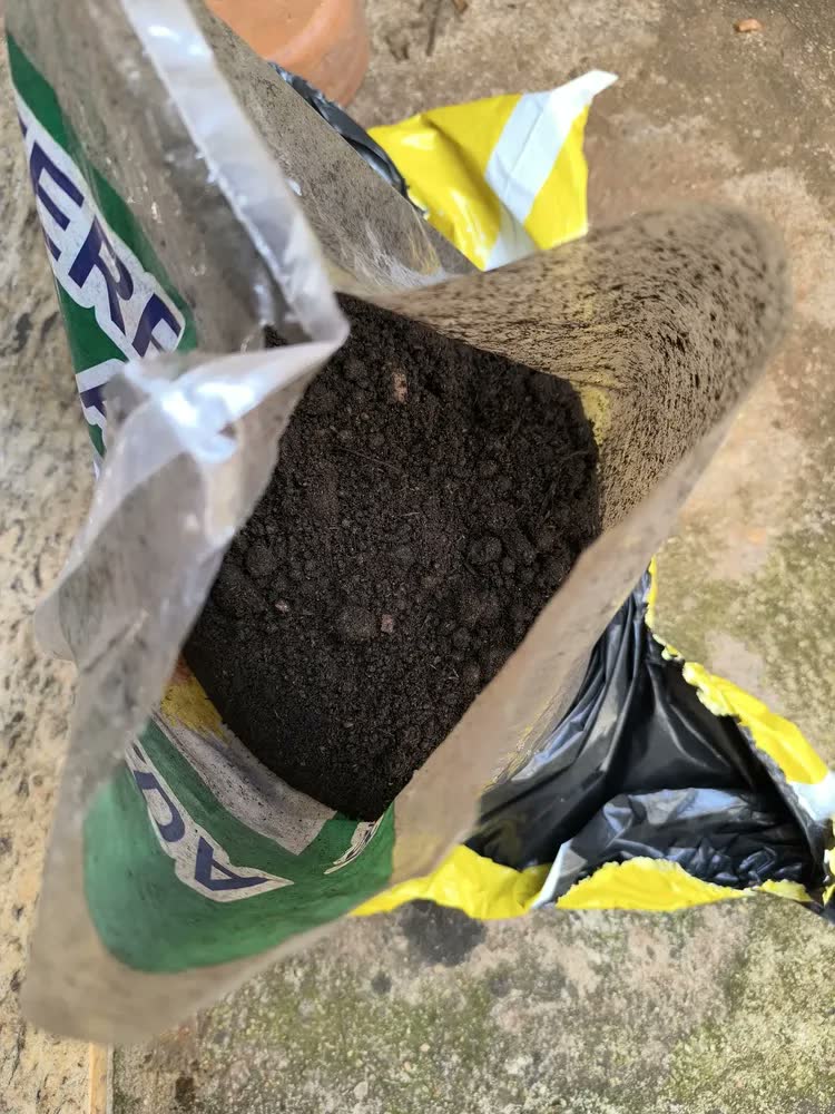 foto de Terra Adubada 10kg Terra Girassol para Hortas Vasos e Jardins