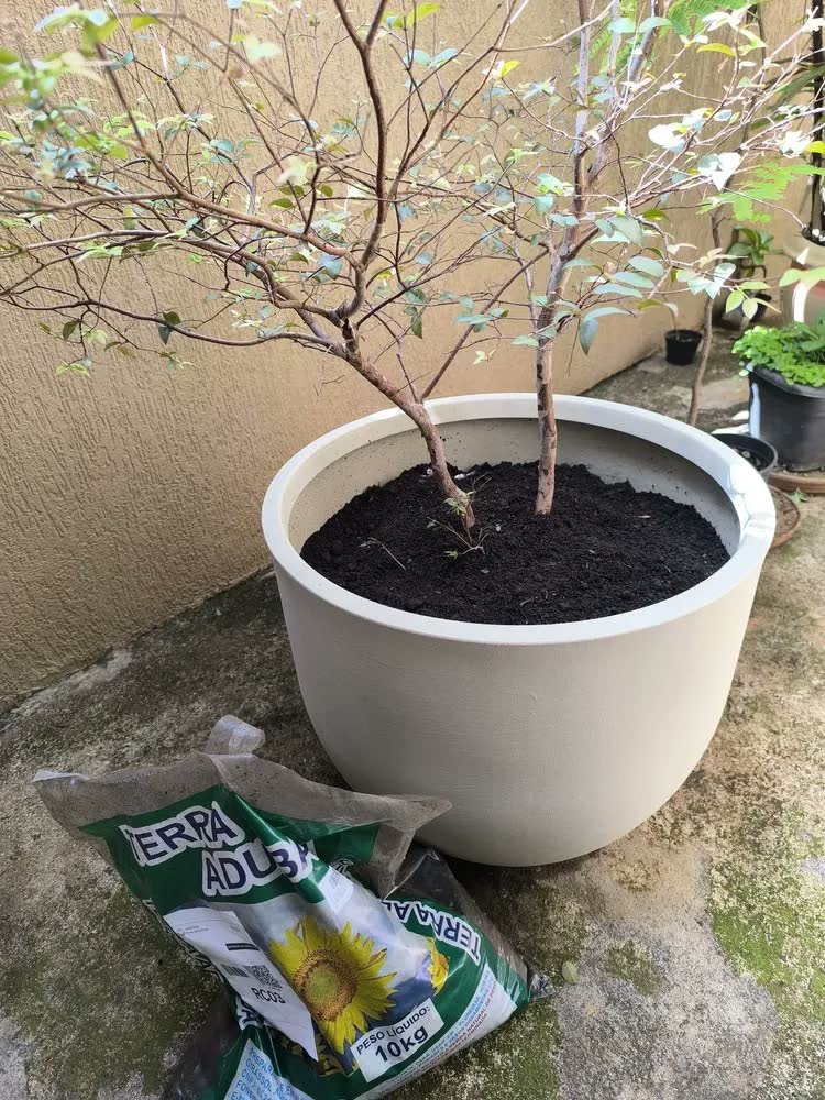 foto de Terra Adubada 10kg Terra Girassol para Hortas Vasos e Jardins