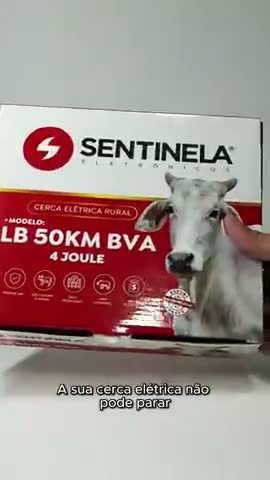 vídeo do produto