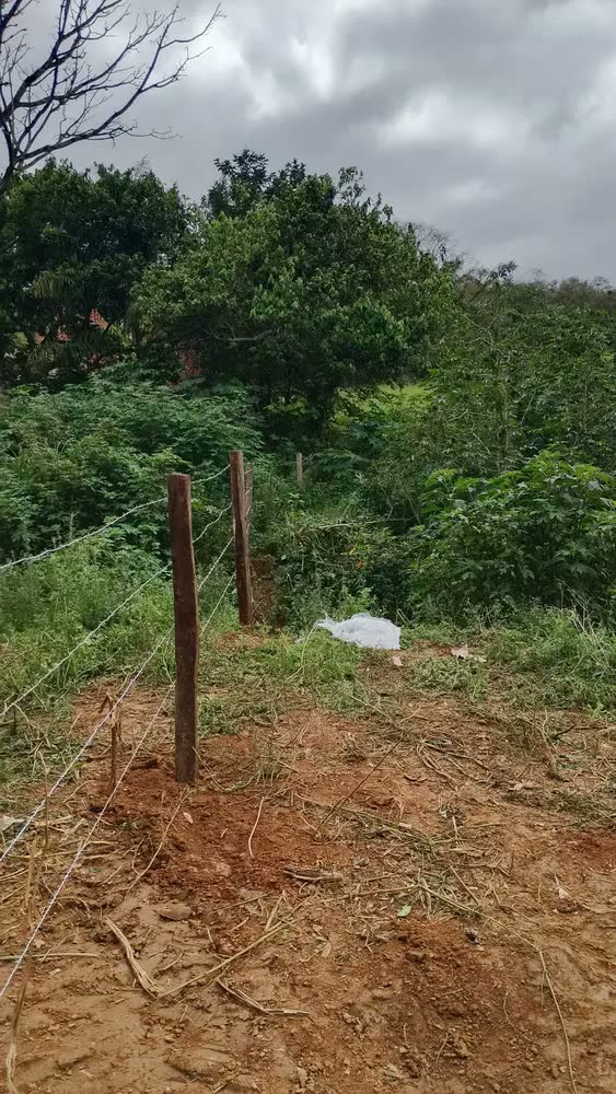 foto de Arame Farpado Gerdau Gir 500m Galvanizado Segurança Rural