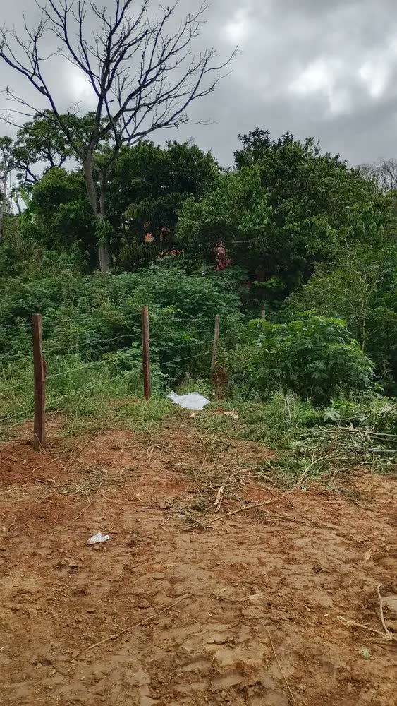foto de Arame Farpado Gerdau Gir 500m Galvanizado Segurança Rural