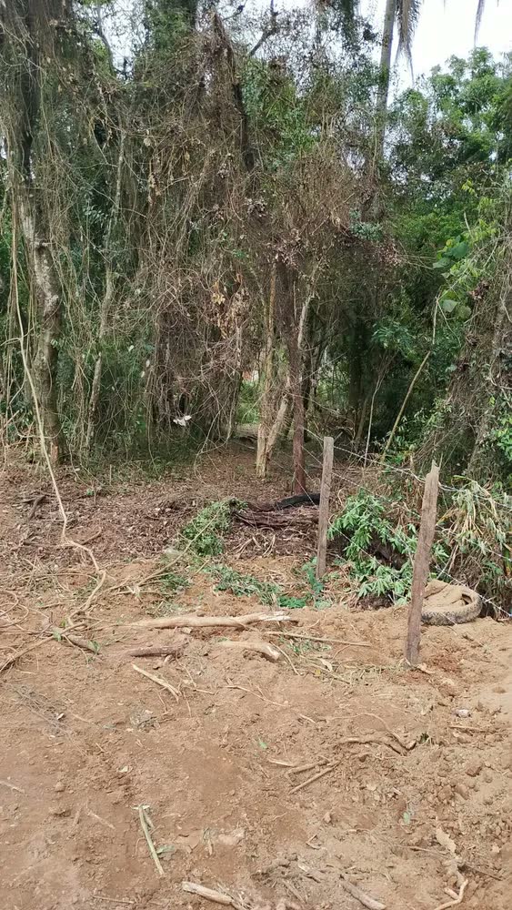foto de Arame Farpado Gerdau Gir 500m Galvanizado Segurança Rural