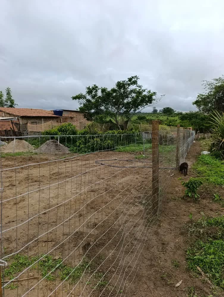 foto de Tela Cerca Soldada Altura 1,50 X 25 Metros Fio 1,60 Mm Malha 5x10cm Alambrado Jardim Fazenda Sitio Chacara Hortas Canteiros Segurança.