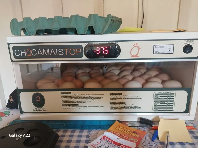 foto de Chocadeira Automatica Chm 72 Ovos + Ovoscopio