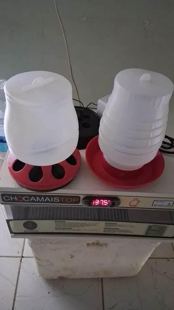 foto de Comedouro 1,5kg Bebedouro 2l Aves Galinhas Frango Automático Vermelho