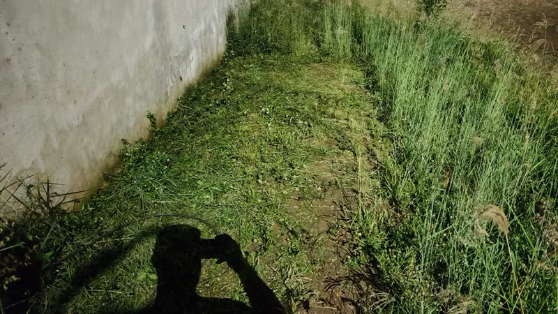 foto de Aparador Cortador De Grama Bipartido 1500w Apb1600t 280mm Tramontina 110v