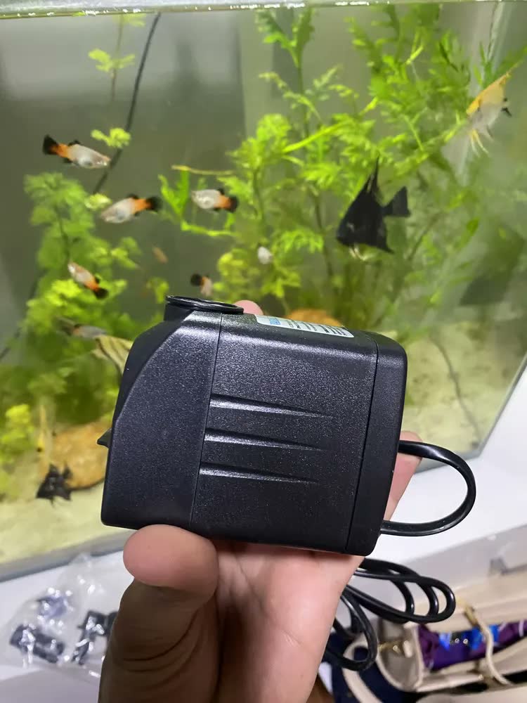 foto de Bomba Submersa 2000l/h 2m Lagos Recalque Fontes Aquários Cascata Chafariz Motor Água Doce Salgada Marinho Fonte Hidroponia Aquaponia