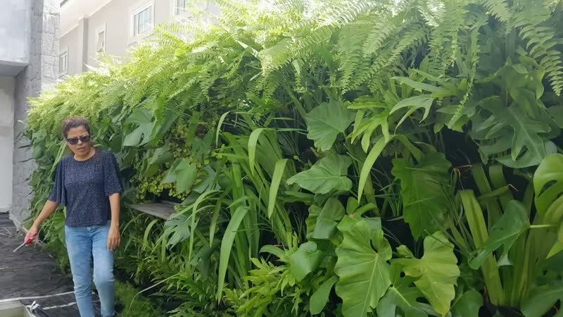 foto de Parede Verde Em Feltro Plantas Naturais 1m X1m 20 Bolsos Natural Preto