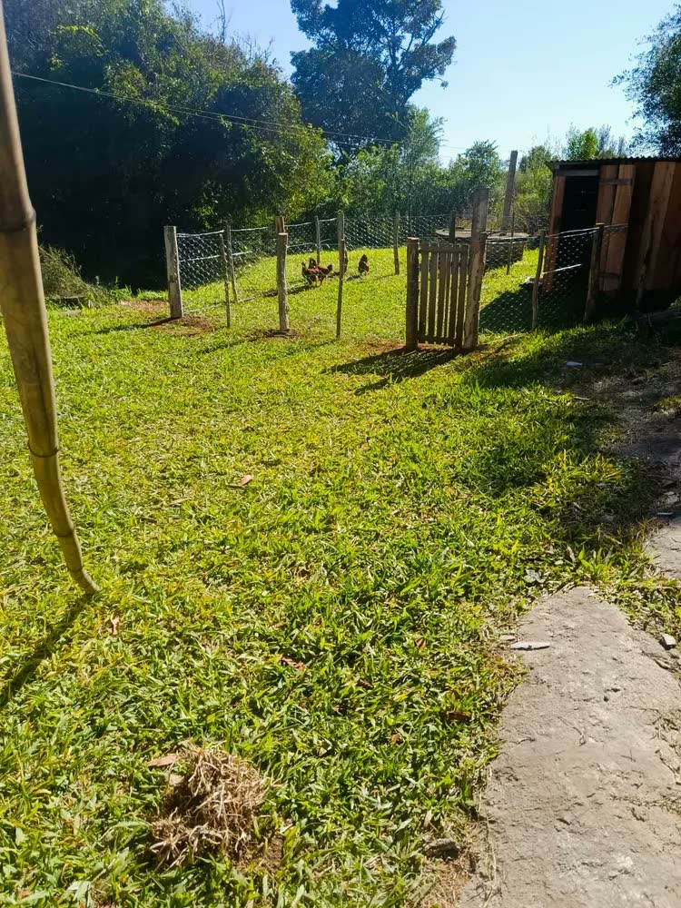 foto de Tela Mangueirão 1,00 X 50m Fio 18 Porcos Horta Rural Ovelha Carneiro Sitio Fazenda Chacara Suinos Caprinos Viveiro