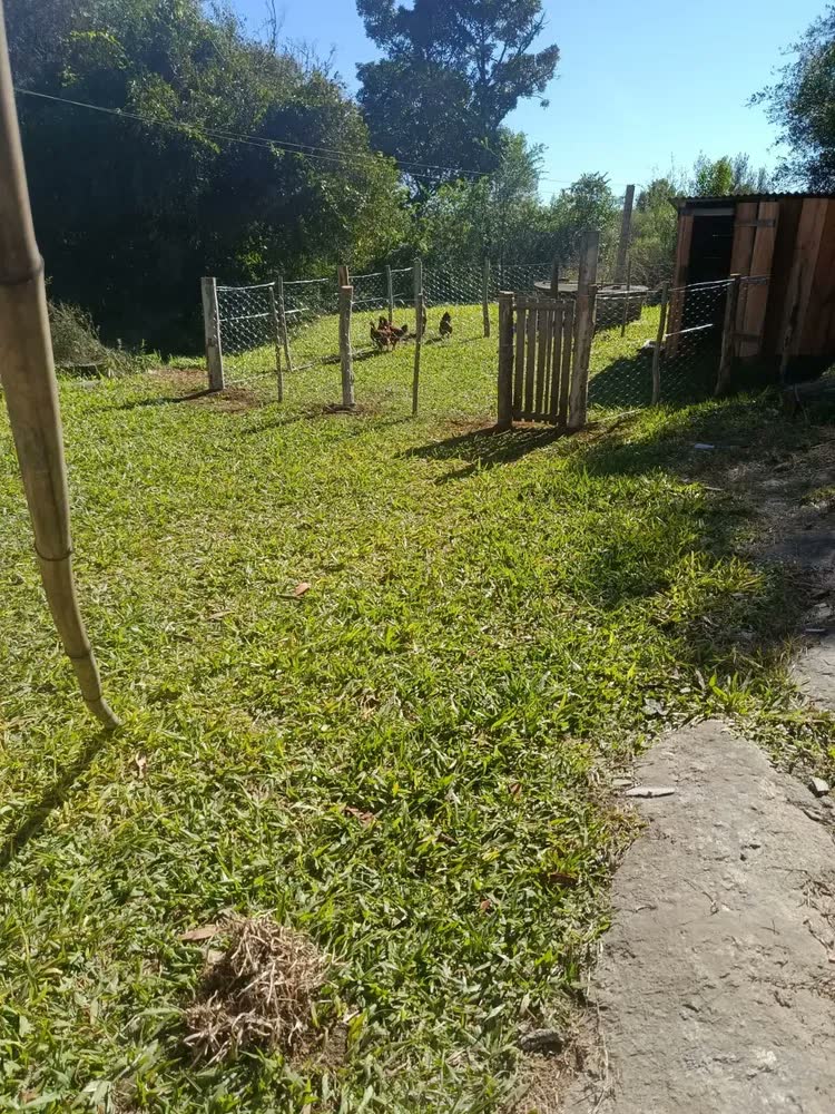 foto de Tela Mangueirão 1,00 X 50m Fio 18 Porcos Horta Rural Ovelha Carneiro Sitio Fazenda Chacara Suinos Caprinos Viveiro