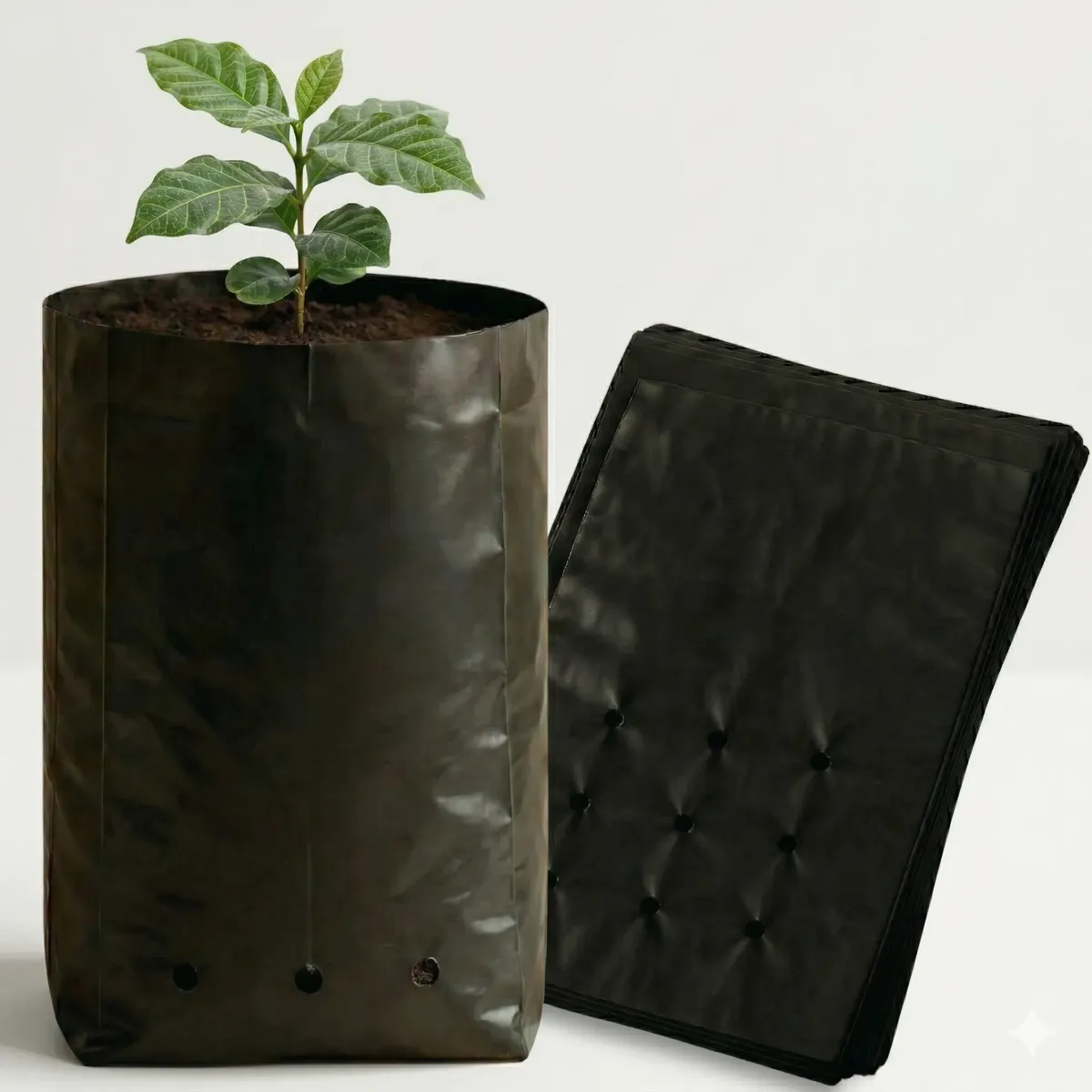 Saco Para Mudas Frutíferas 15x25 60 Micras 500un Nuplast