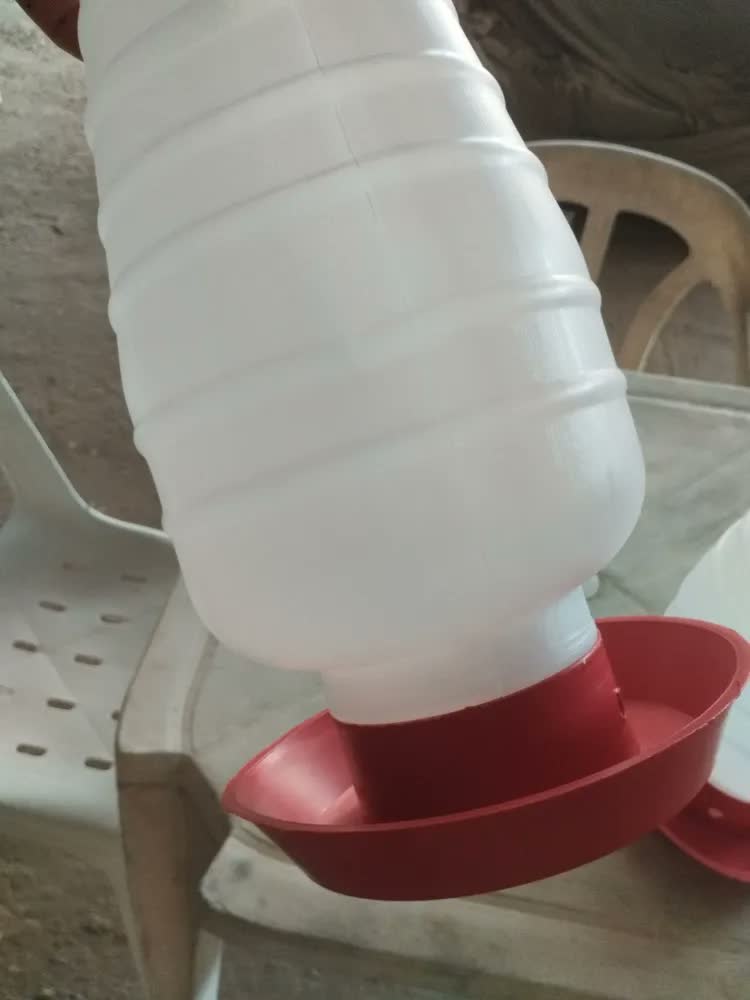 foto de Kit 2 Bebedouro Para Frango Galinha Aves Automático 5 Litros Vermelho