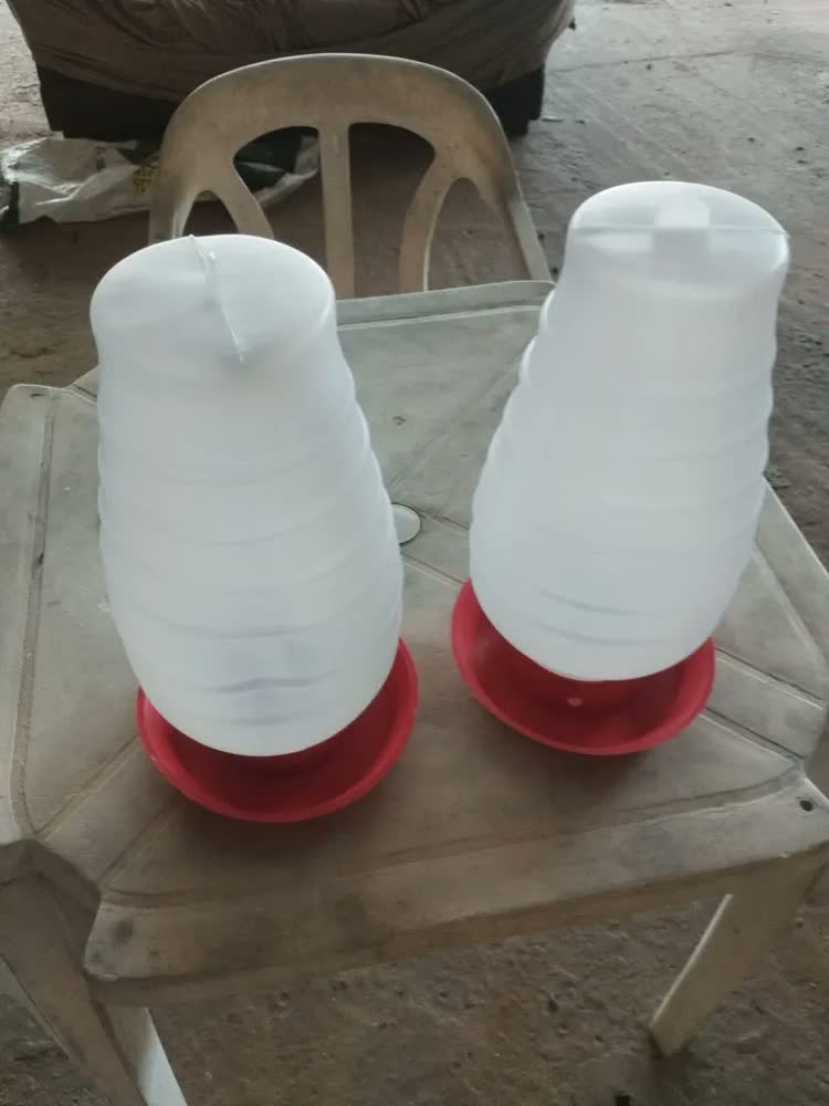 foto de Kit 2 Bebedouro Para Frango Galinha Aves Automático 5 Litros Vermelho