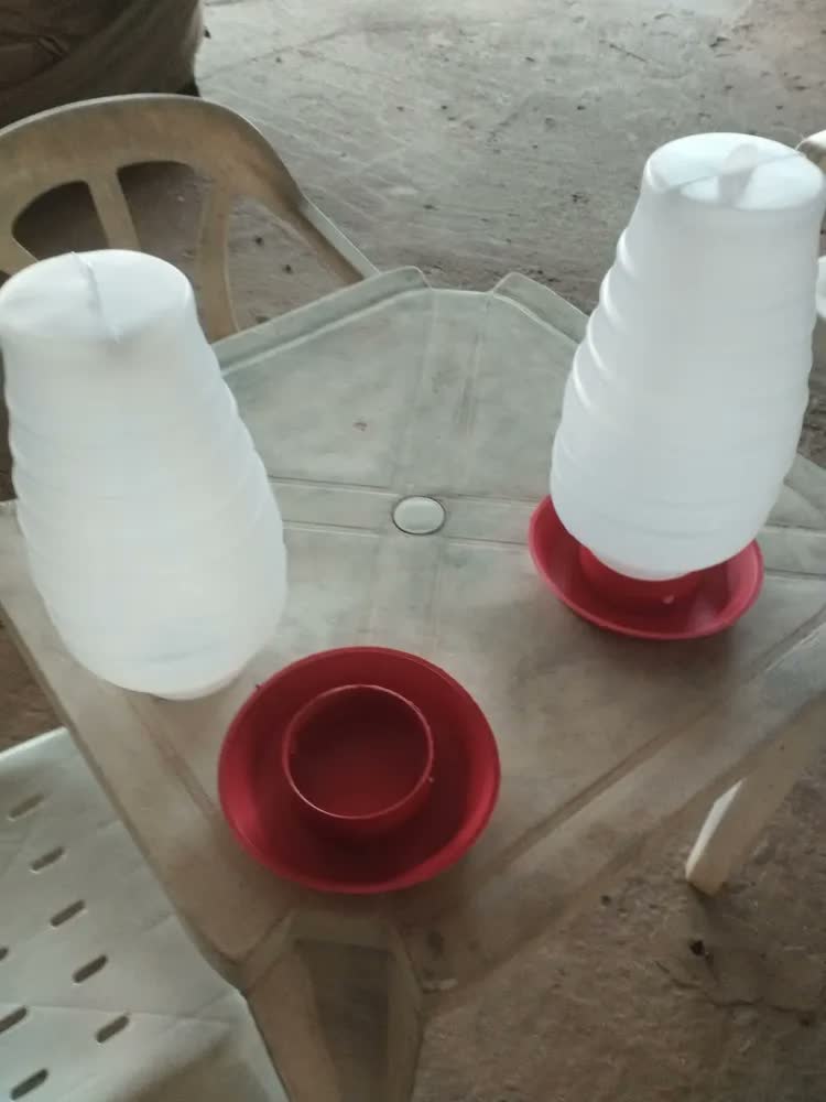 foto de Kit 2 Bebedouro Para Frango Galinha Aves Automático 5 Litros Vermelho