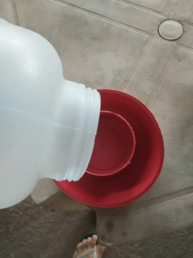 foto de Kit 2 Bebedouro Para Frango Galinha Aves Automático 5 Litros Vermelho