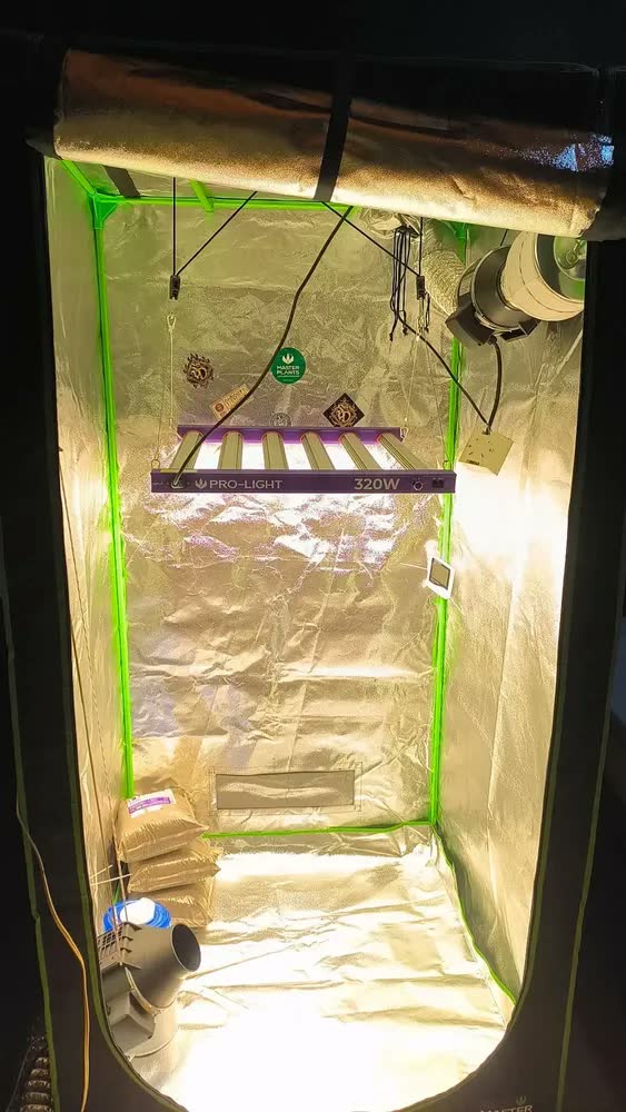 foto de Tenda Estufa Grow 100x100x200cm Cultivo Indoor Plantas Preto