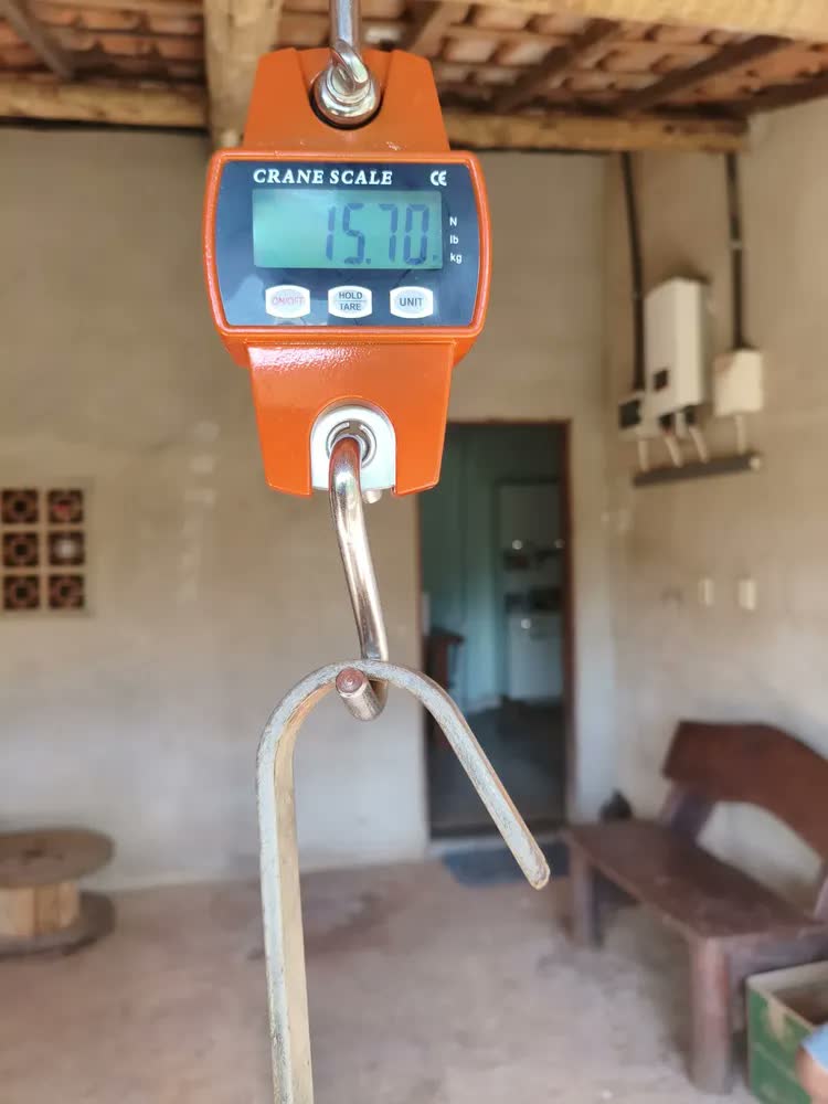 foto de Balança Digital 300kg Guindaste Industrial Lcd Portatil Laranja