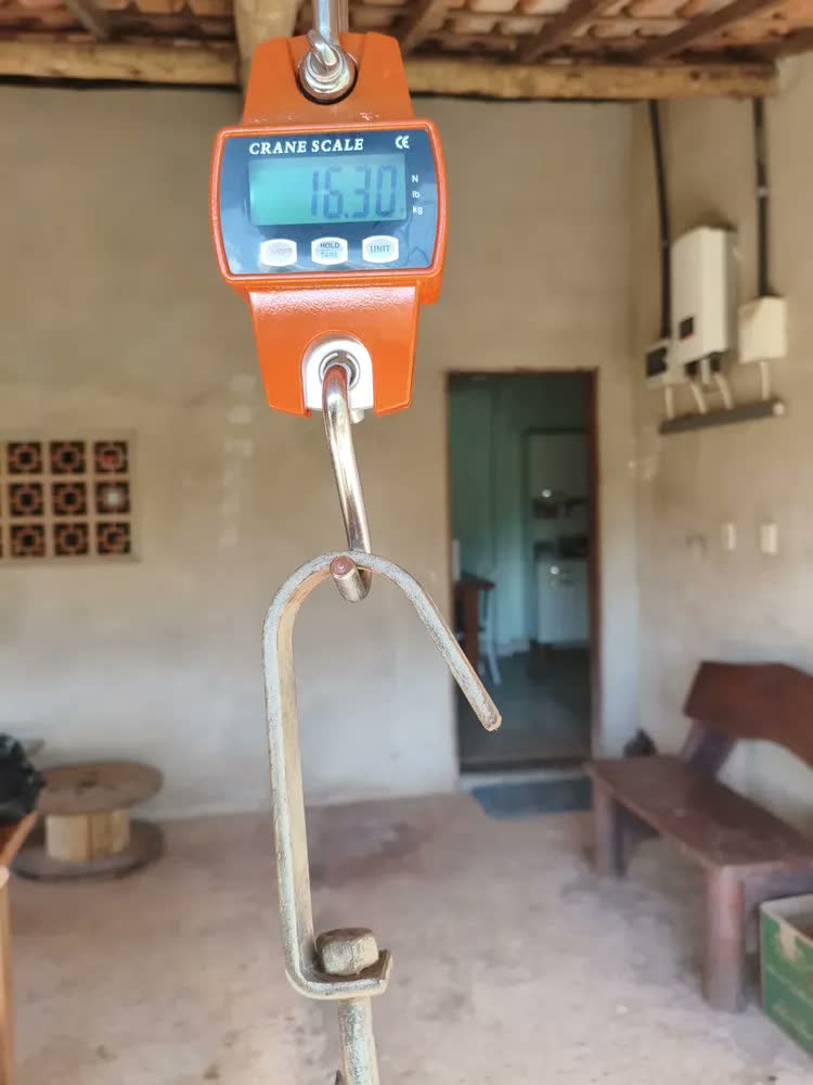 foto de Balança Digital 300kg Guindaste Industrial Lcd Portatil Laranja