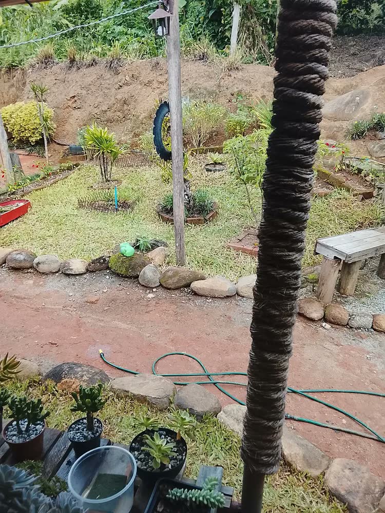 foto de Aparador Grama Elétrico 1500w Cabo Bipartido Tt1500s2b Tekna