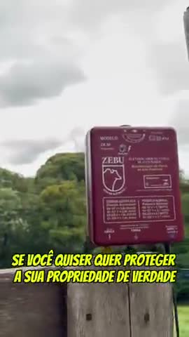 vídeo do produto