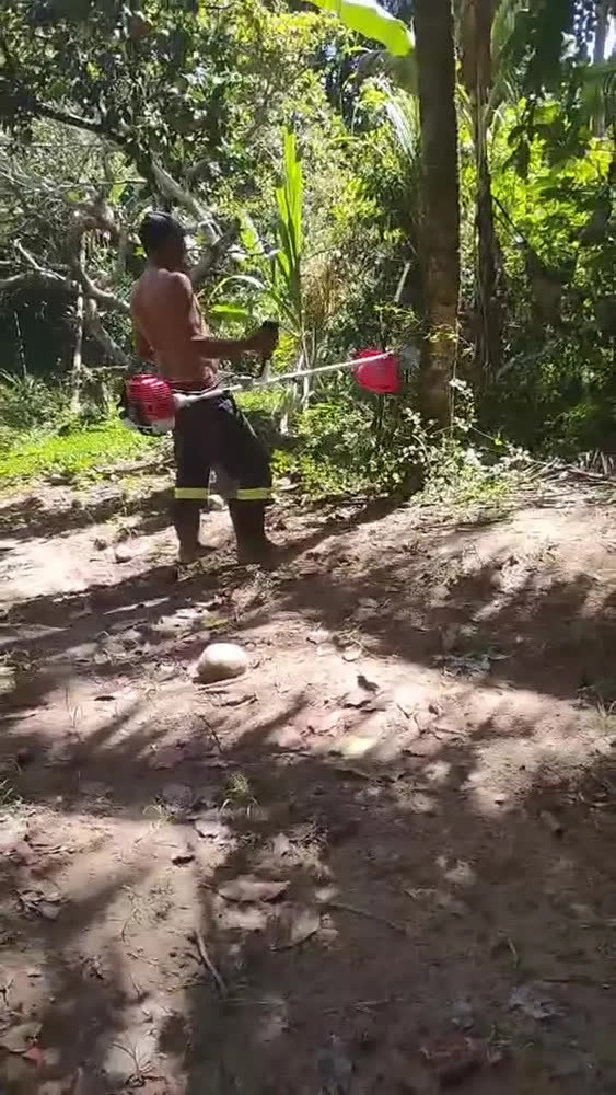 foto de Roçadeira A Gasolina Toyama Tbc52sx Premium 2t 51,6cc Pro