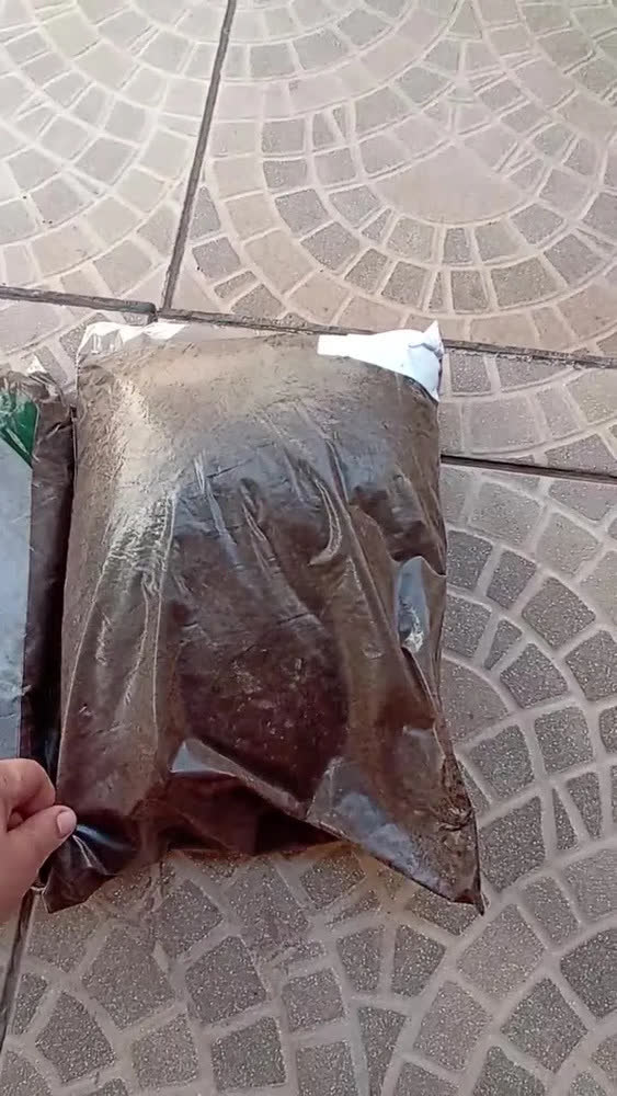 foto de Terra Vegetal Santa Clara Premium 5kg Adubada Pronta Para Uso Para Hortas Plantas Jardim Flores Jardinagem Com Turfa Composto Orgânico 100% Natural E Sustentável Maior Nutrição Para Suas Plantas