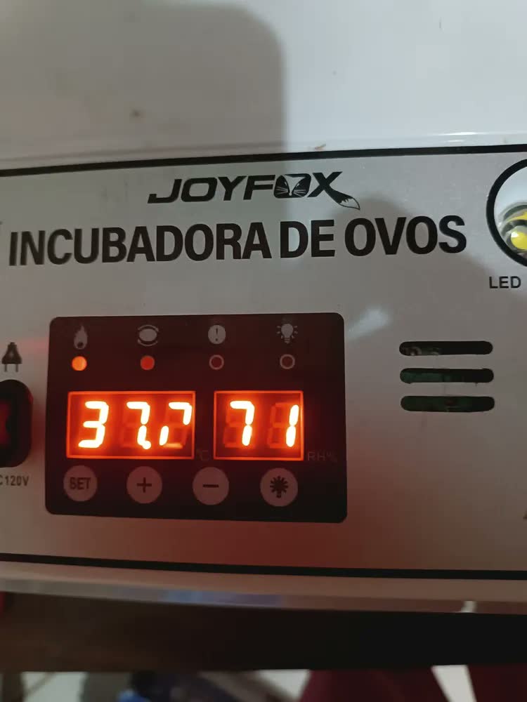 foto de Chocadeira Incubadora Automática Joyfox Para 64 Ovos Com Controle De Temperatura E Giro Automático