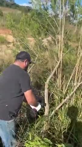 vídeo do produto