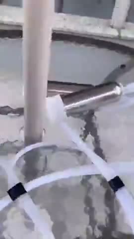 vídeo do produto
