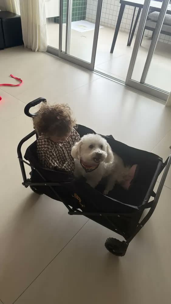 foto de Carrinho Dobrável Multifuncional Acampamento Praia Camping Impermeável Multiuso 200kg Reforçado Portátil Cor Preto Luvinco