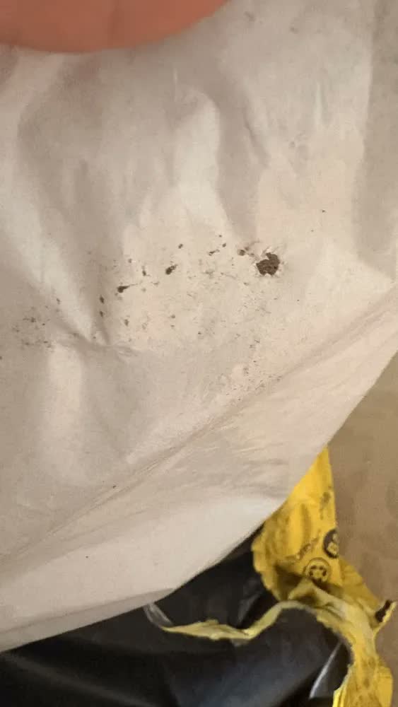 foto de 4kg Adubo Orgânico Húmus De Minhoca Horta Mudas Frutíferas