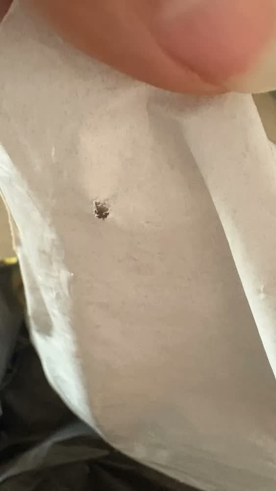foto de 4kg Adubo Orgânico Húmus De Minhoca Horta Mudas Frutíferas