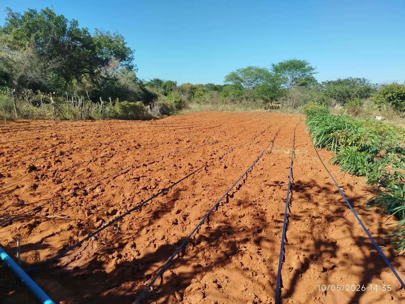 foto de Mangueira Gotejamento Irrigação 20 Cm, 30 E 50 Cm - 1.000 M 20cm