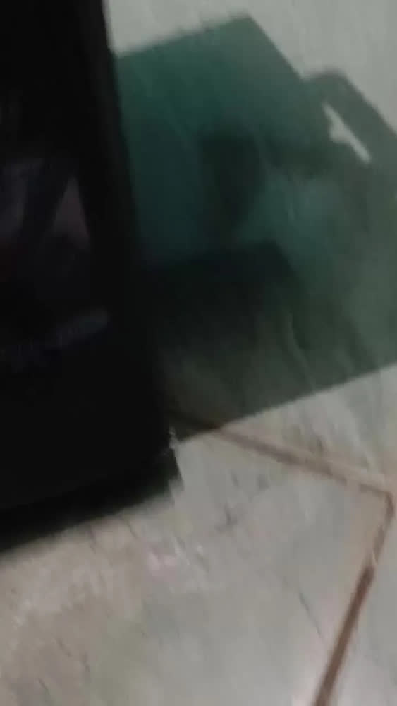 foto de Soprador Elétrico Aspirador De Pó Portátil Sem Fio 2 Em 1 Profissional Recarregável 48V Alta Potência Turbo Com 2 Baterias De Lítio Para Limpeza Casa Jardim Folhas Garagem Varanda Quintal
