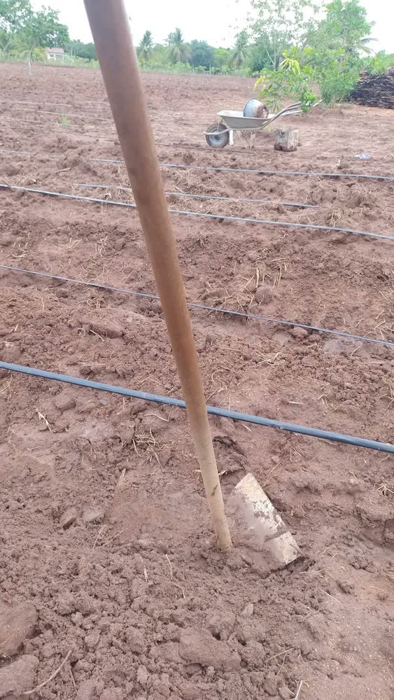 foto de Mangueira Para Gotejamento Streamline-x Netafim 1.000 Mts Cor Espaçamento 30x30cm
