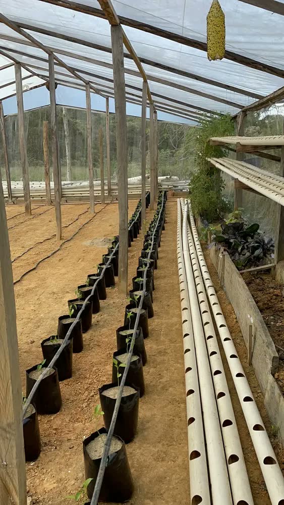 foto de Mangueira Para Gotejamento Streamline-x Netafim 1.000 Mts Cor Espaçamento 30x30cm