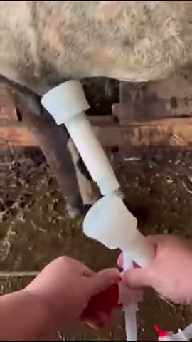 vídeo do produto
