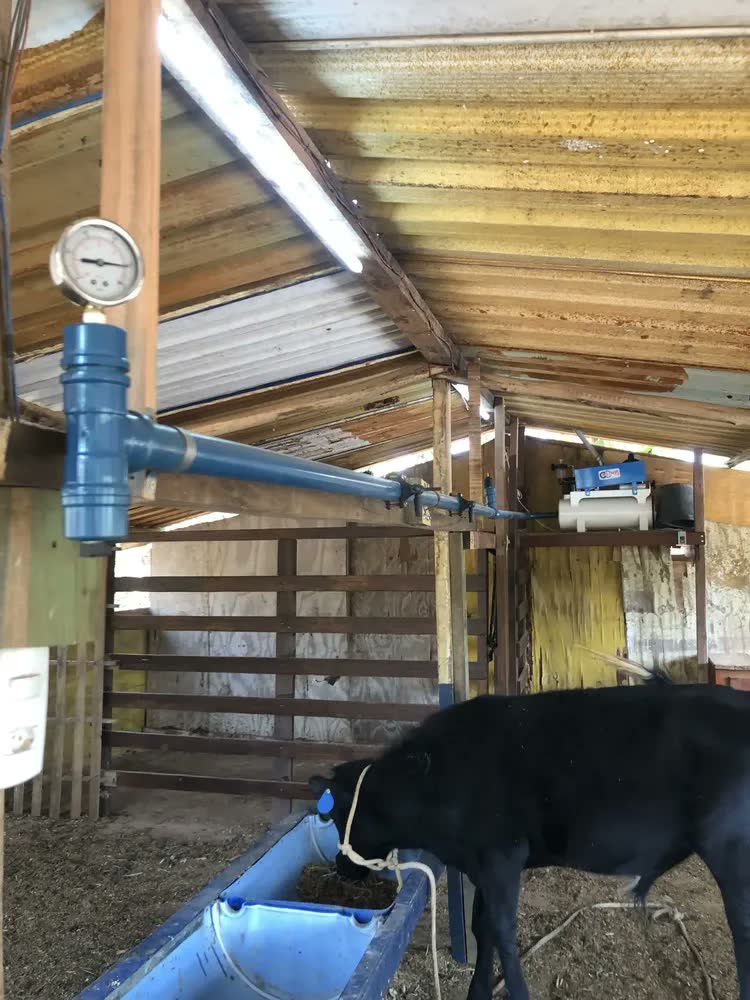 foto de Ordenhadeira Implemis Ord300 Com 1 Conjunto E 1 Tarro